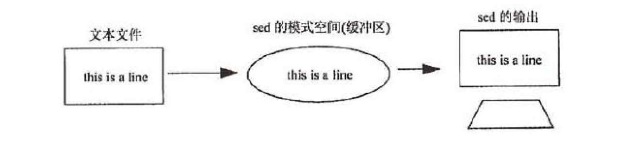 image-20230408155357663 